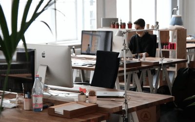 Ondernemingen zonder handels- of industriële finaliteit: uitsluiting van bepaalde sectoren