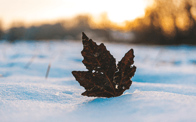 HR : werken bij koude temperaturen