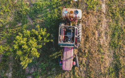 Biociden: regelgeving over de verkoop en het gebruik
