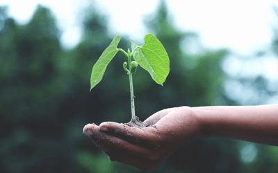 Duurzaamheid: belgië scoort onvoldoende