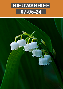 news nl 07-05-24 08-10-21